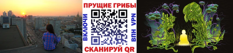 Псилоцибиновые грибы прущие грибы  мега онион  Таштагол 
